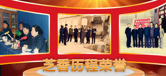 芝香歷程榮譽
