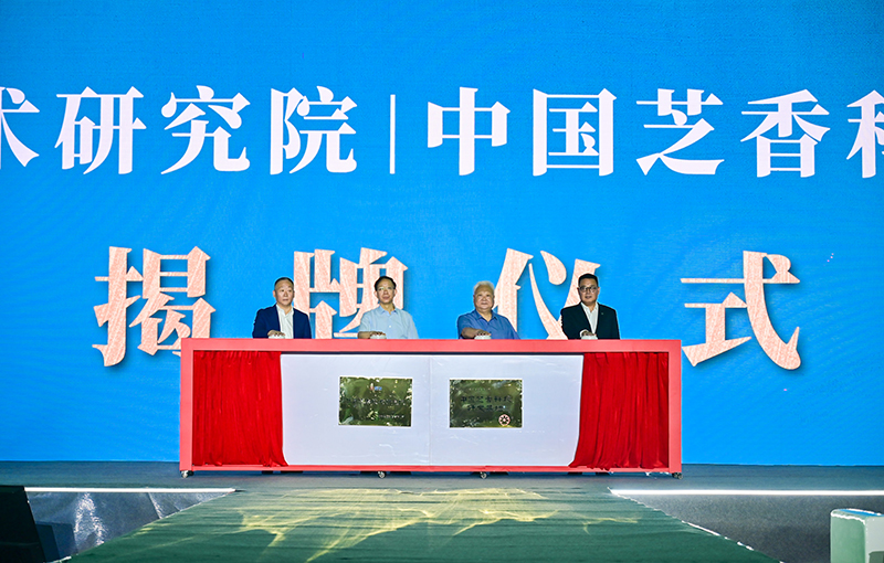 1689297583105648.jpg CHC9933.JPG