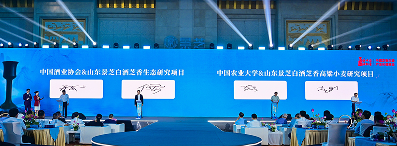 1689297600199611.jpg CHC0188.JPG